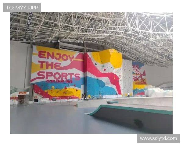 南京极限运动队荣获全国极限运动比赛经验排行榜第二名的辉煌成就