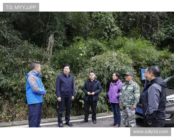 广州攀岩队区域防守分析与战术调整的深度探讨