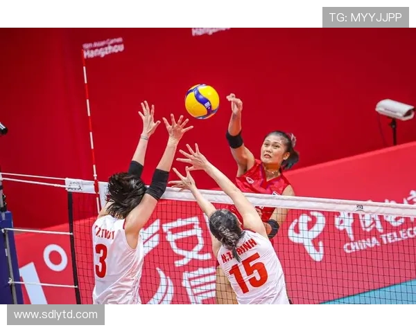 杭州排球队选拔赛背后的拼搏故事与奋斗历程全景回顾