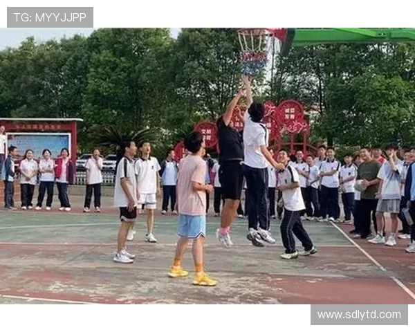 武汉排球队亚运会逆袭之旅展现拼搏精神与团队力量